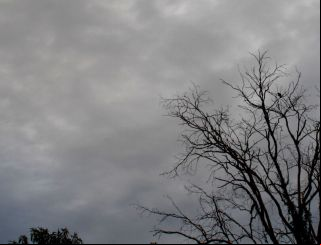 Após frio, calor volta com possibilidade de chuva em MS 
