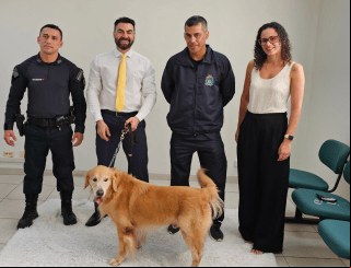 Anastácio: Projeto Patas que Acolhem, revoluciona atendimento a vítimas no Fórum de Anastácio
