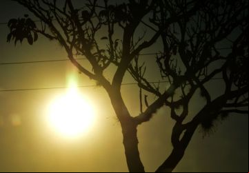 Sol predomina e calorão com o tempo extremamente seco continua neste final de semana. - Foto: Gerson Oliveira / Correio do Estado