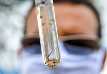 Casos de dengue aumentaram em 9,49% no estado em apenas 8 dias - Reprodução, Secretaria de Saúde de MS Leia mais em: https://jardimmsnews-br.portalms.info/cidades/ms-registra-107-novos-casos-de-dengue-em-uma-semana/444785/
