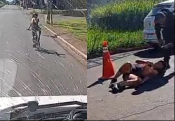 Reprodução