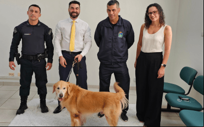 Anastácio: Projeto Patas que Acolhem, revoluciona atendimento a vítimas no Fórum de Anastácio