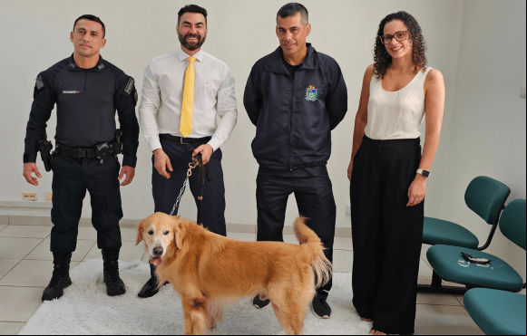 Anastácio: Projeto Patas que Acolhem, revoluciona atendimento a vítimas no Fórum de Anastácio